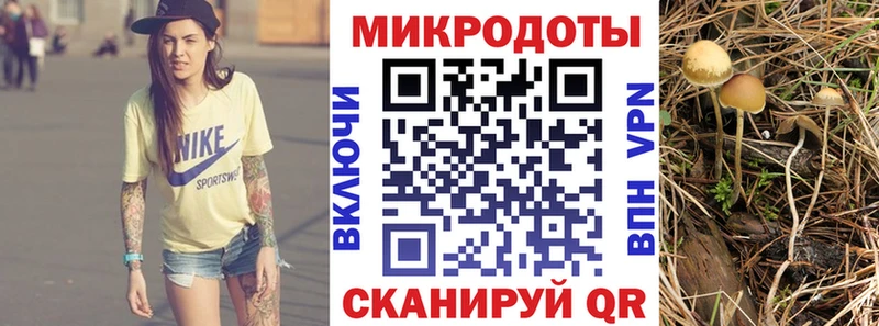 продажа наркотиков ОМГ ОМГ вход Псилоцибиновые грибы Psilocybine cubensis Рыбное