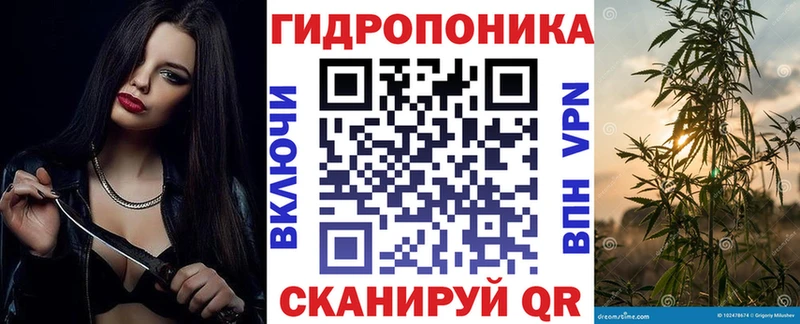 Канабис планчик  Рыбное 